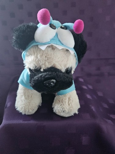 Beige pug puppy - dog, blue
