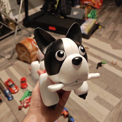 Duke the robot puppy - duke,