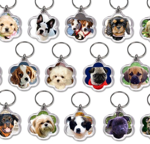 Dog keyrings flower - keyrings, pug