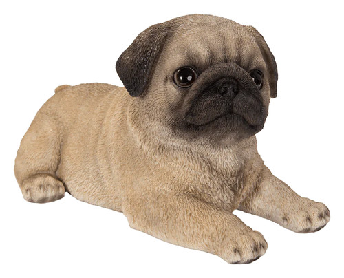 Vivid arts pet - pet, laying