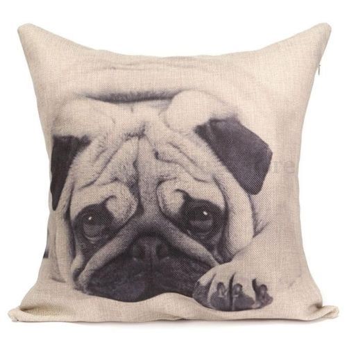 Pug dog puppy new - puppy, blend