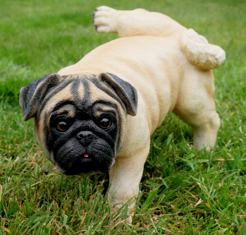 Dog sculpture puppy realistic - sculpture,