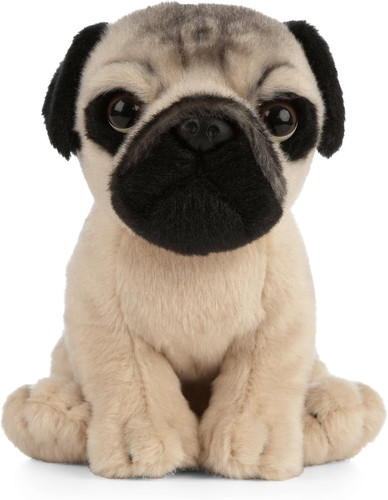 Living nature pug - nature,