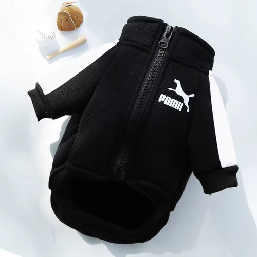 Winter dog jacket baseball - jacket,