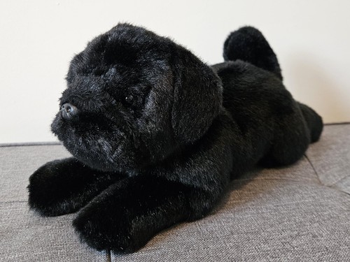 Suki black pug puppy dog - suki,