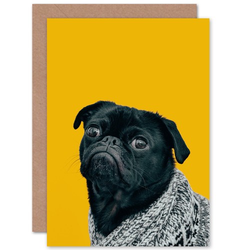 Deluvio pug dog - pug, puppy