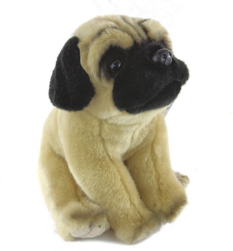 Faithful friends pug puppy - faithful,