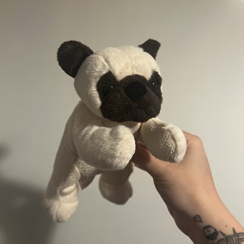 Aroma home pug dog - pug, puppy
