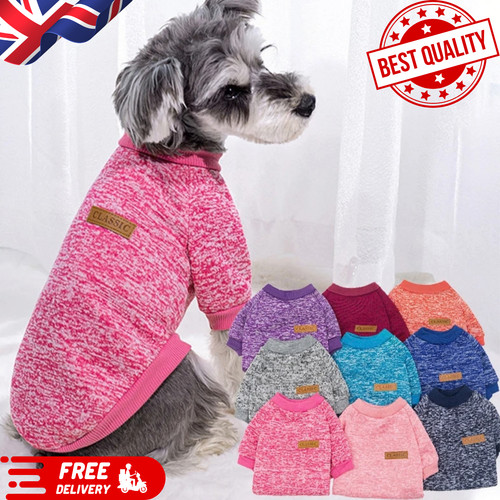 Winter dog coat - coat, small