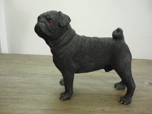 Black pug puppy - puppy, dog