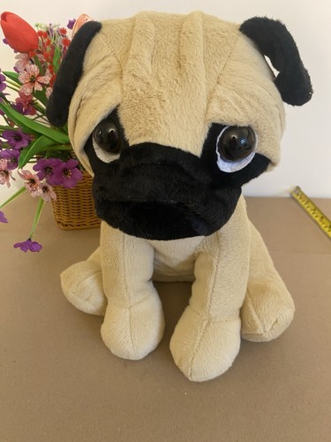 Big inch sitting pug - 13, puppy