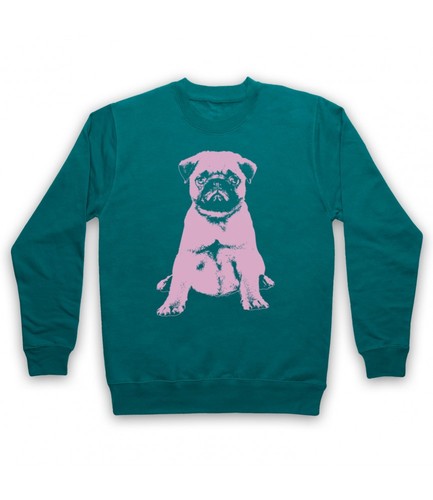 Pug dog cute - pug,