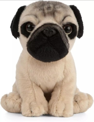 Living nature pug - living, puppy