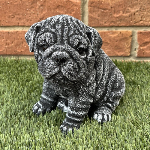 Grey pug puppy dog concrete - pug,