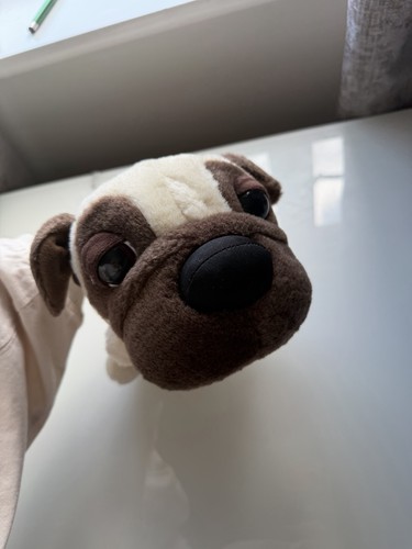 Artist international pug - artist,