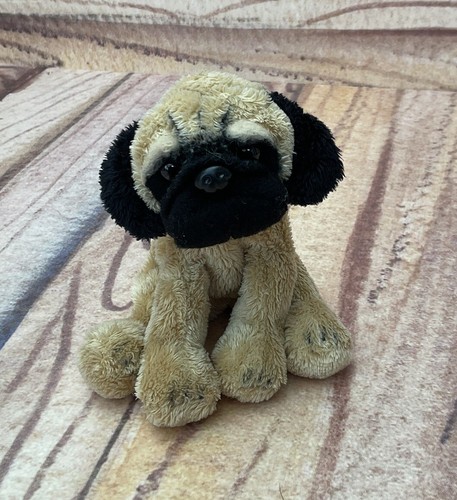 Suki pug puppy dog - pug,