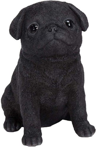 Vivid arts pet pal black - arts,