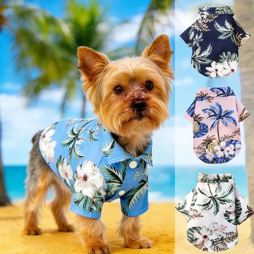 Hawaiian style dog - hawaiian,