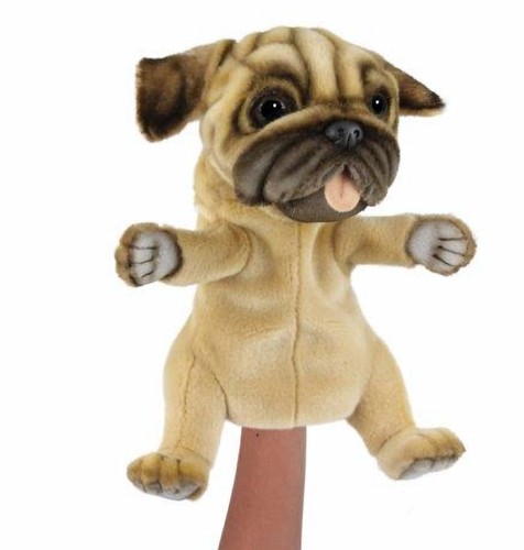 Pug puppy dog - dog, puppet