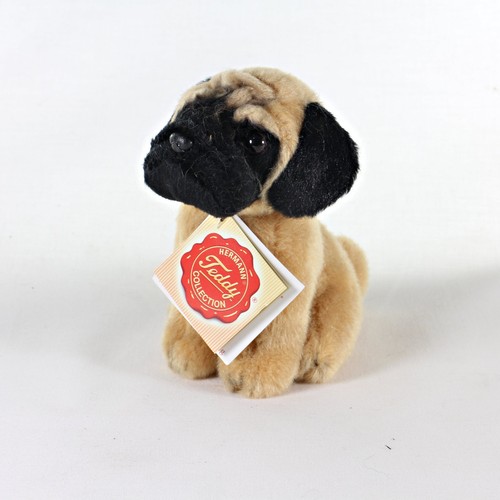 Pug puppy dog teddy - dog,