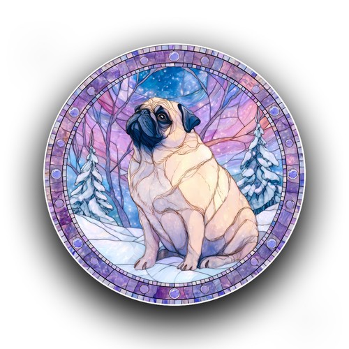 Pug dog puppy winter - puppy,