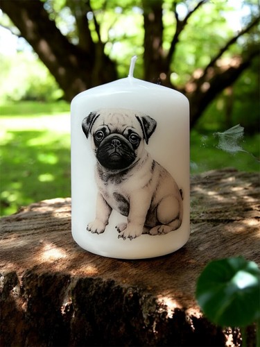 Pug puppy dog candle - puppy,