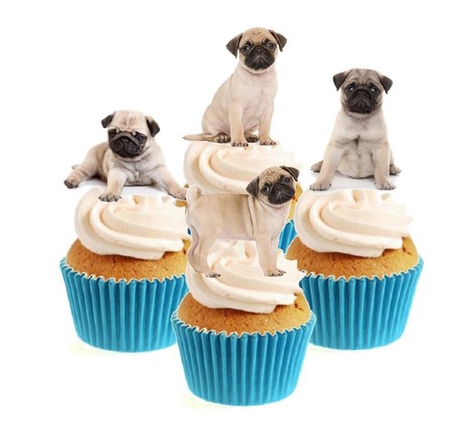 Novelty cute pug - cute,