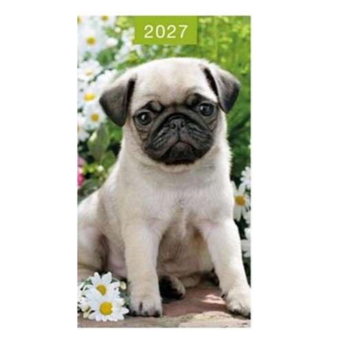 2027 slim pocket diary pug - pocket,