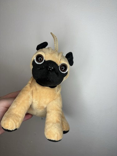 Oakes leisure pug - pug, dog