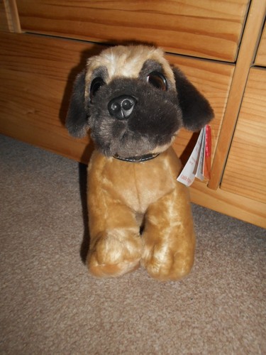 Keel toys toy - toys, pug