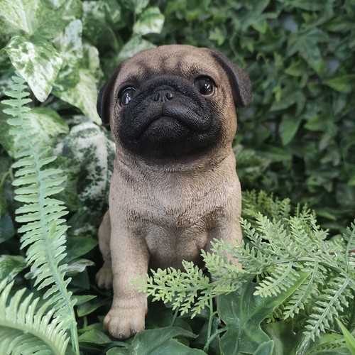Vivid arts pug puppy highly - pug,