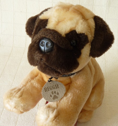 Pug soft puppy dog called - pug,