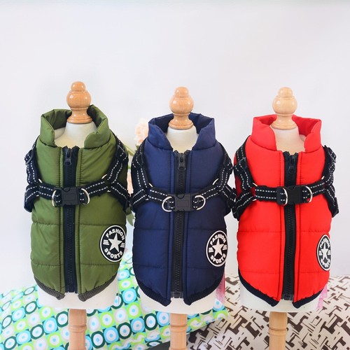 Small dog coat - dog,