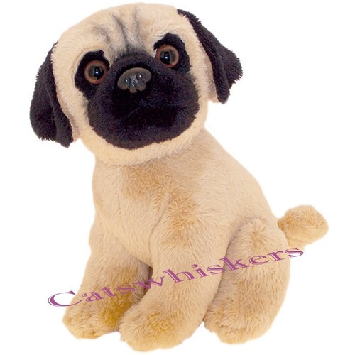 Faithful friends sitting pug - friends,