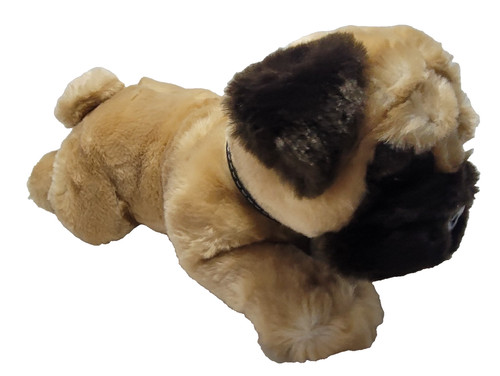 Reggie the pug puppy dog - pug,