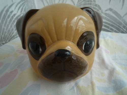 Vintage pug ceramic money - , box