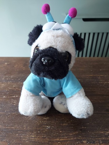 Pug puppy dog - wearing, monster
