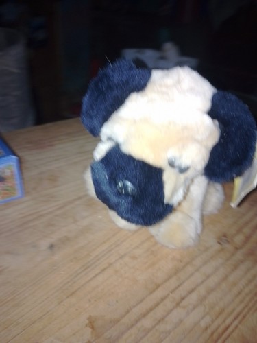 Pug puppy dog - dog, toys