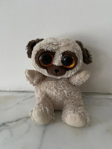 Keel animotsu pug pugsley dog - animotsu,