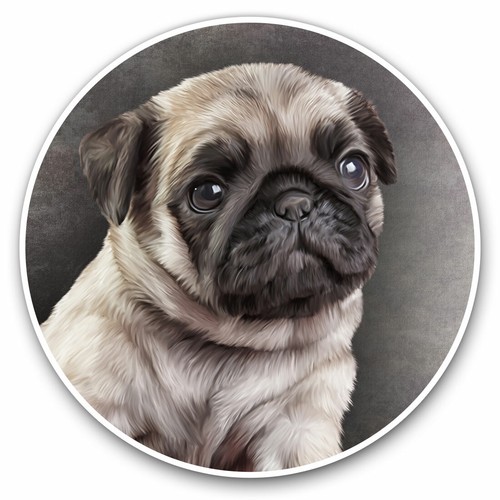 Vinyl stickers 20cm pug - 2,