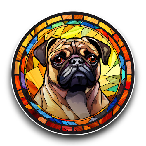Large cute pug - pug, dog