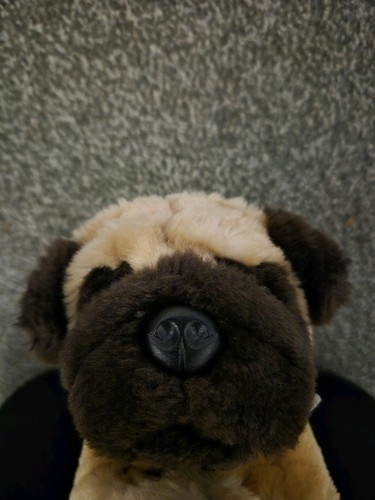 Keel toys pug puppy - keel, dog