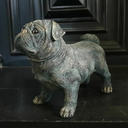 Standing pug puppy dog - pug,