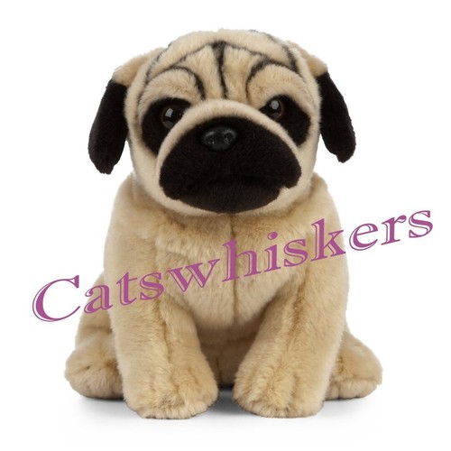 Sitting pug puppy - sitting, soft
